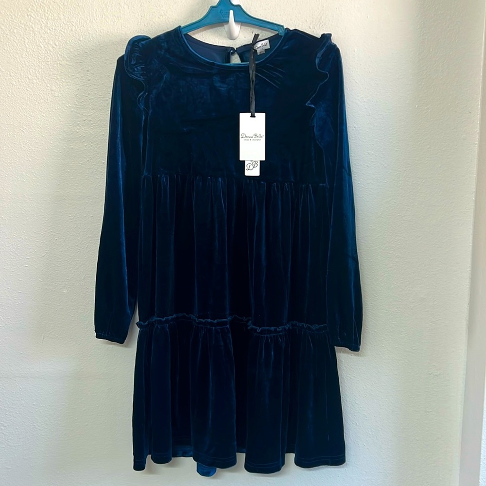 Danna Belle Girl’s Long Sleeve Velvet Dress NWT
